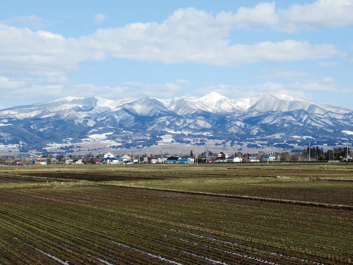 慶徳玉ねぎ栽培普及の会 会津伝統野菜
